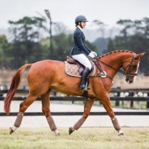 FOR HORSES MISTI BREECHES BOUTIQUE EQUINES-5