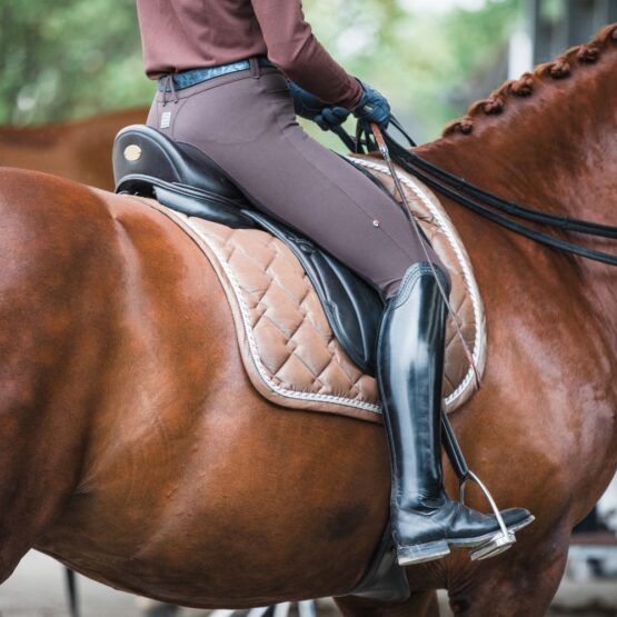 FOR HORSES REMI BREECHES BOUTIQUE EQUINES-6