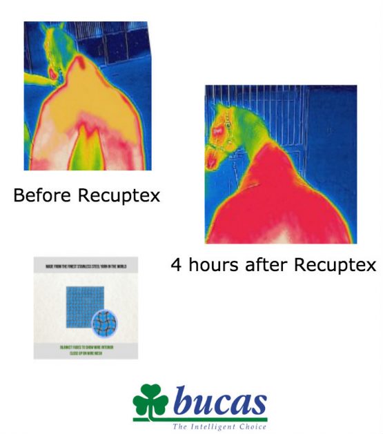 Bucas Recuptex Features Benefits