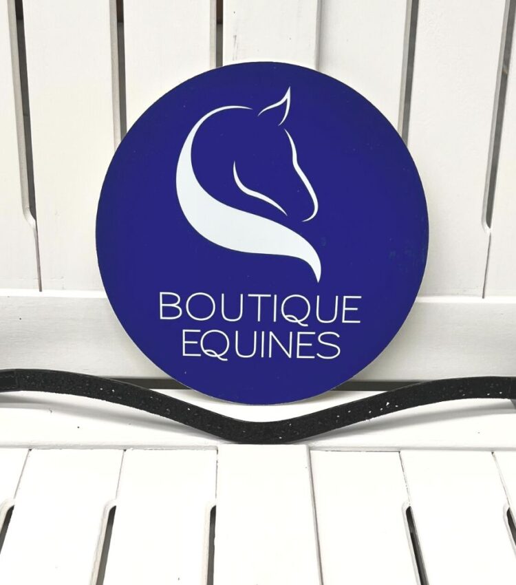 Otto Schumacher Medley Browband Boutique Equines (11)