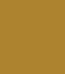 WEBSITE COLOURS GOLD