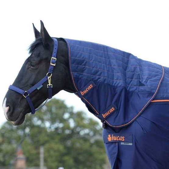 Bucas Recuptex Therapy neck rug