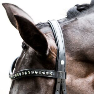 Otto Schumacher Black Line head piece Boutique Equines