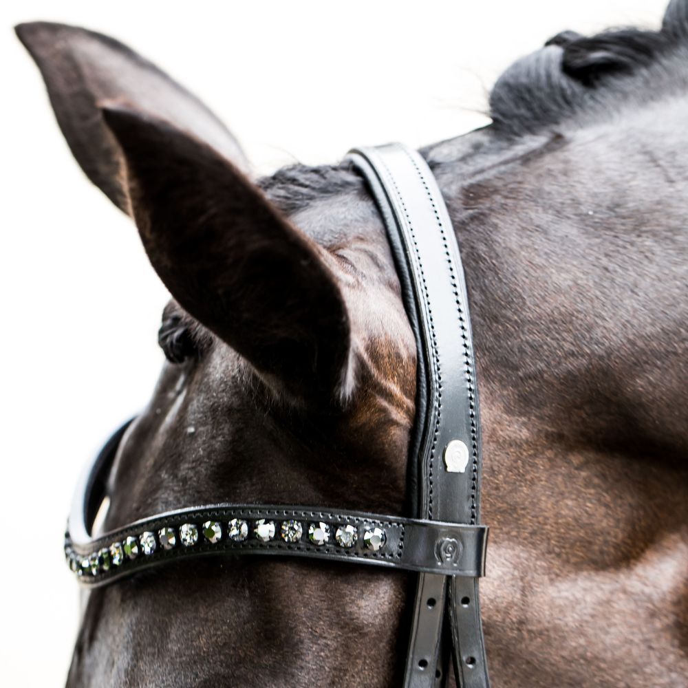 Otto Schumacher Black Line head piece Boutique Equines