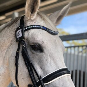 Otto Schumacher Tiffany XL Navy Shading Boutique Equines