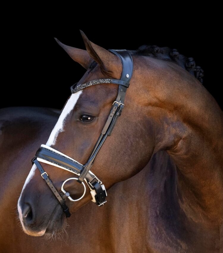 Otto Schumacher Bellevue Fineline Snaffle Boutique Equines 2