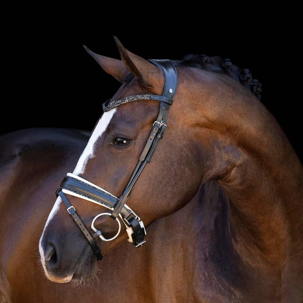 Otto Schumacher Bellevue Fineline Snaffle Boutique Equines 2