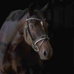 Otto Schumacher Black Line Patent Boutique Equines