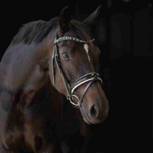Otto Schumacher Black Line Patent Boutique Equines