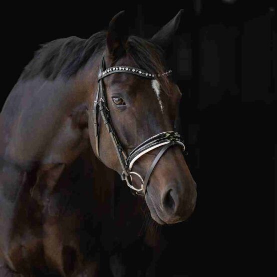 Otto Schumacher Black Line Patent Boutique Equines